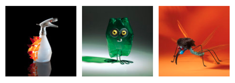 abbeville festival de loiseau