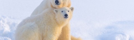 Conférence du photographe Philippe Bolle