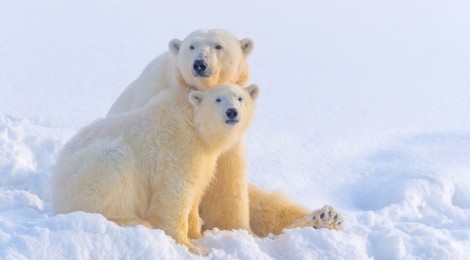 Conférence du photographe Philippe Bolle