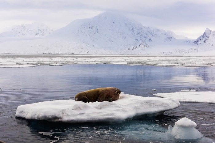 event_poles-glaces_201353