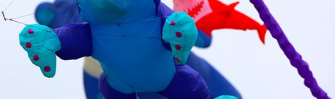 20ème FESTIVAL DES CERFS-VOLANTS