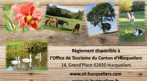 CONCOURS PHOTOS « Faune et Flore de nos campagnes »