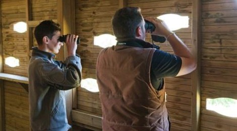 SORTIE NATURE À LA RÉSERVE ORNITHOLOGIQUE