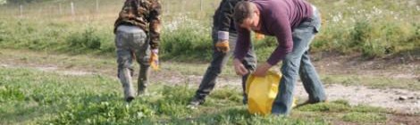 OPÉRATION CANCHE PROPRE