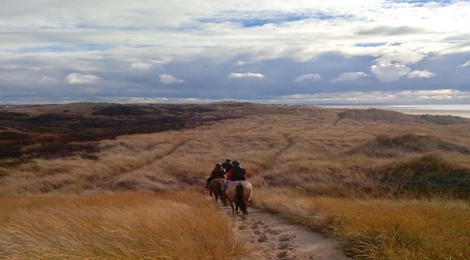 CHEVAUCHÉE SOPHRONIQUE EN TERRE HENSON