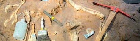 JOURNÉE NATIONALE DE L’ARCHÉOLOGIE