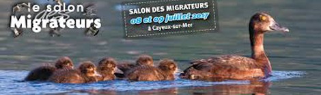SALON DES MIGRATEURS
