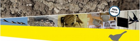 GARES ET HIRONDELLES