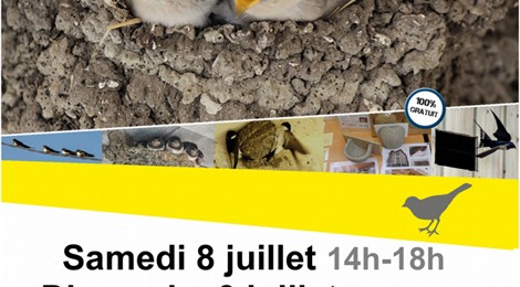 GARES ET HIRONDELLES