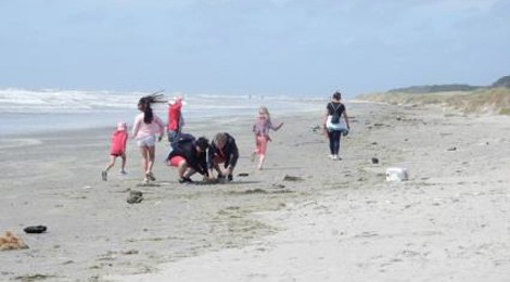 ENQUÊTE SUR LA PLAGE