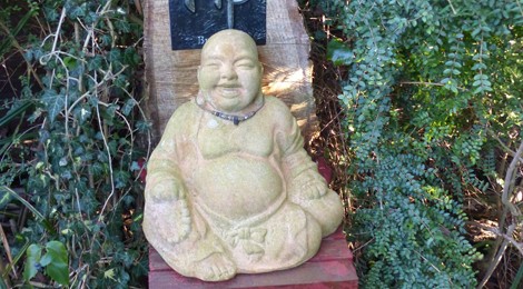 BALADE ACCOMPAGNÉE ET VISITE DU JARDIN TAMAN HUTAN