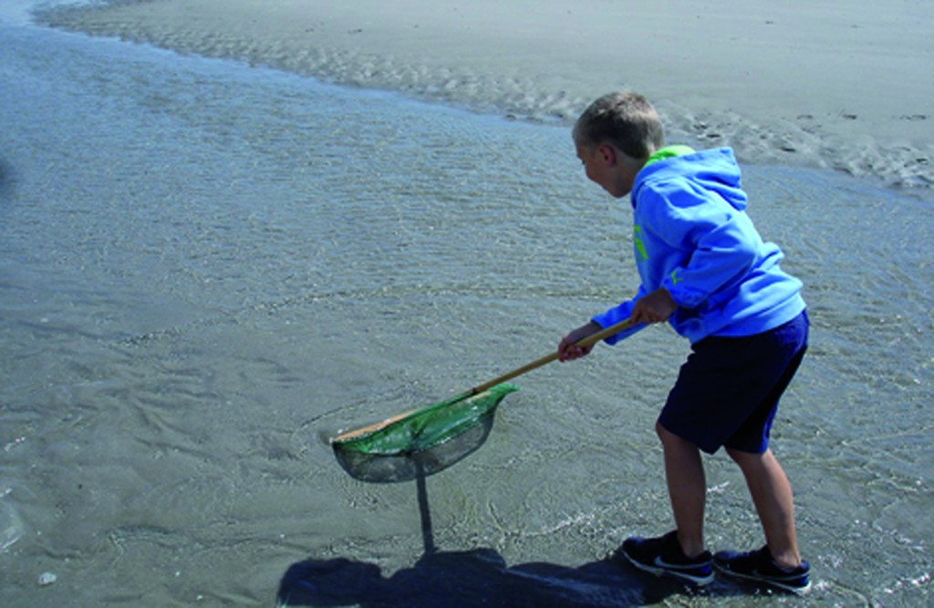 15 07 quend p+¬che +á pied