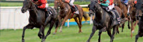 COURSES HIPPIQUES ET FÊTE DE L’HIPPODROME