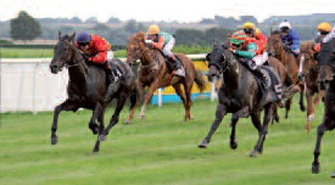 COURSES HIPPIQUES ET FÊTE DE L’HIPPODROME