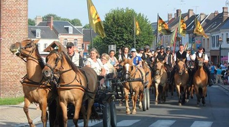 FERYA – HARAS HENSON