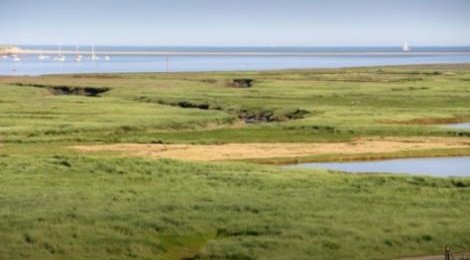 RÉSERVE NATURELLE DE LA BAIE DE CANCHE