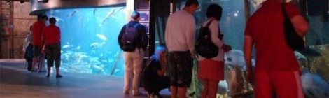 DIMANCHE INTERGÉNÉRATION