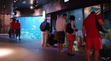 DIMANCHE INTERGÉNÉRATION