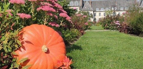 FÊTE DE LA CITROUILLE ET DES SAVEURS D’AUTOMNE