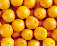 GEORGES DANDIN OU LE MARI CONFONDU