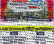 LES MERLETTES EN SPECTACLE