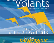 RENCONTRES INTERNATIONALES DE CERFS-VOLANTS