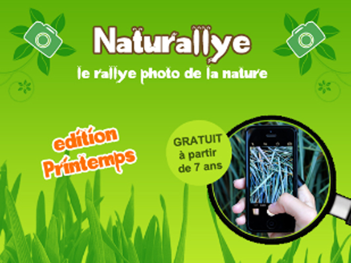 21 04 Stella naturallye