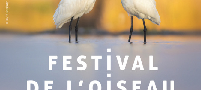 Exposition dans le cadre du Festival de l’oiseau