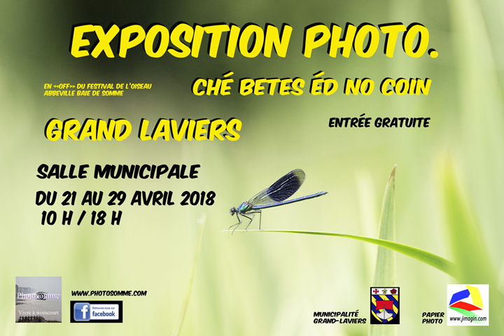 grand laviers photosomme
