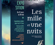 LES MILLE ET UNE NUITS
