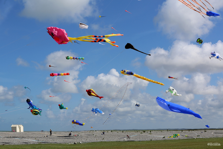 02 06 cayeux festival cerfs volants