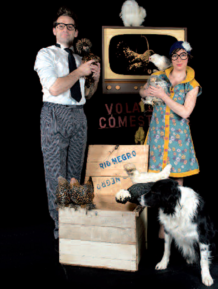 05 06 abbeville voler dans les plumes