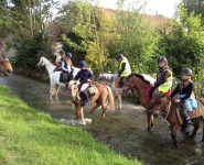 RANDONNÉE À PONEYS