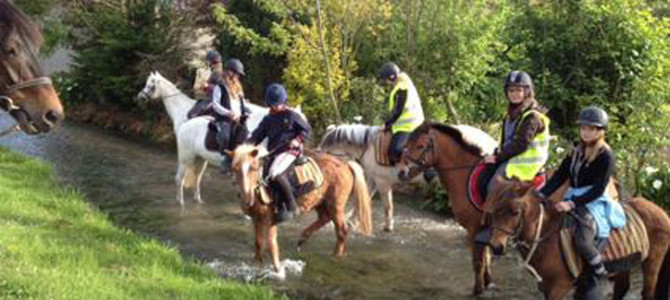 RANDONNÉE À PONEYS