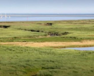 LES HABITANTS DE LA BAIE