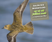 SALON DES MIGRATEURS