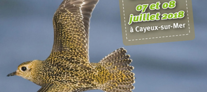 SALON DES MIGRATEURS