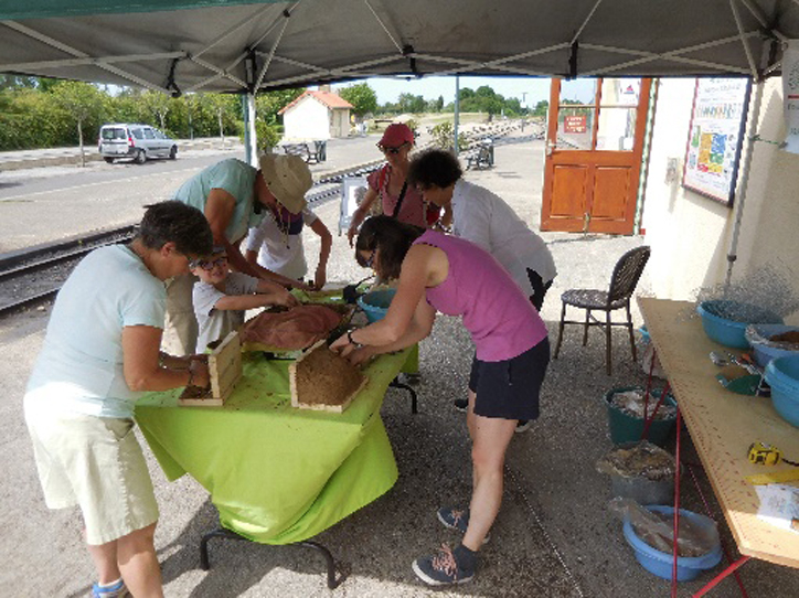 08 07 noyelles hirondelles et gares