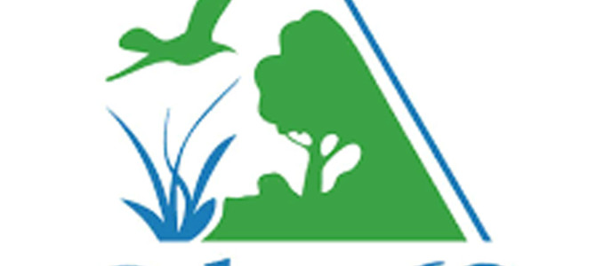 LES PAPILLONS DE NUIT