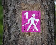 MARCHE LOISIR ET NATURE