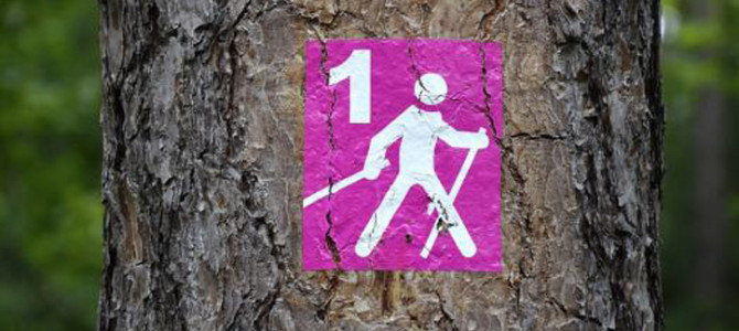 MARCHE LOISIR ET NATURE