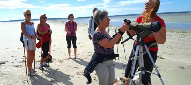 INITIATION À LA MARCHE NORDIQUE en Baie de Somme