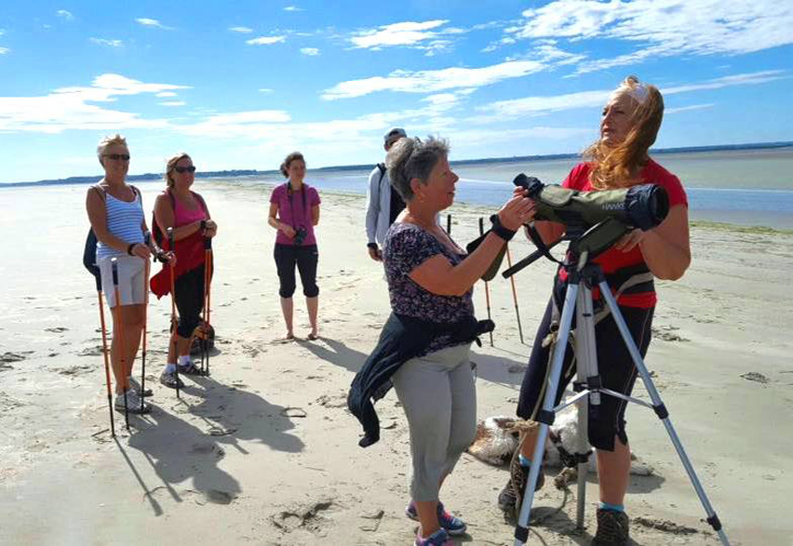 TLJE le hourdel initiation marche nordique