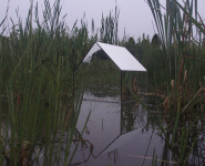 « O » Dimitri Vazemsky