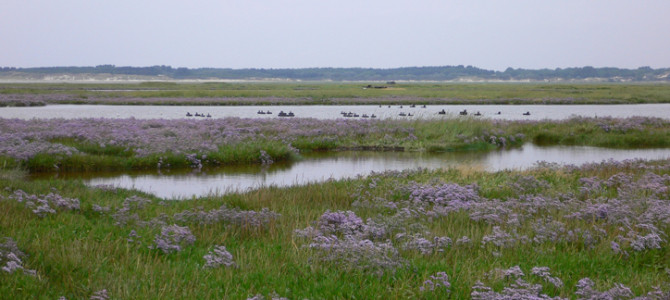 À LA DÉCOUVERTE DE LA BAIE D’AUTHIE