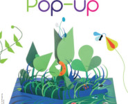 VOYAGE DANS LES PLIS DU LIVRE…