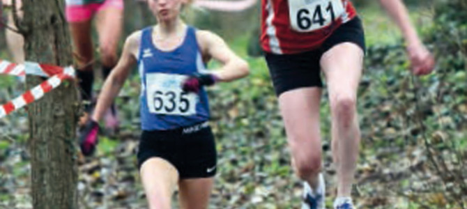 CROSS DU BOIS MAGNIER