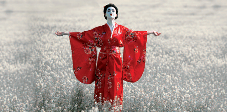 24 01 abbeville madame butterfly