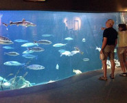 VISITE DE MARÉIS INTERGÉNÉRATION