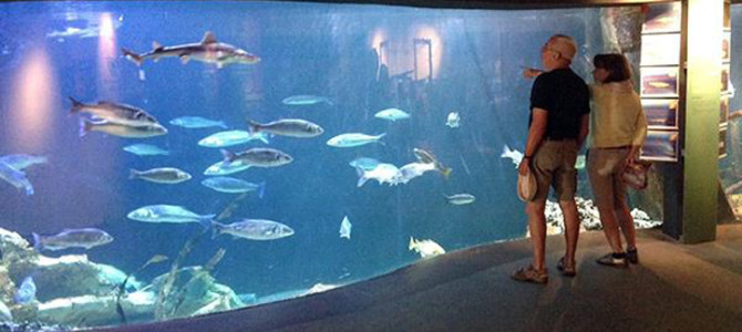 VISITE DE MARÉIS INTERGÉNÉRATION